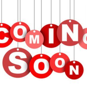 J. Jill Womens Crop Pants Size 22 Essential Cotton Stretch Beige Pull On Pockets